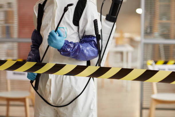 Professional Hoarding Cleanup technician working in Parlin, NJ